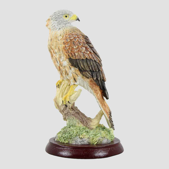 Red Kite Border Fine Arts Birds