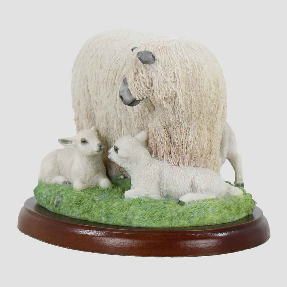 Herbert And Mum Border Fine Arts Sheep