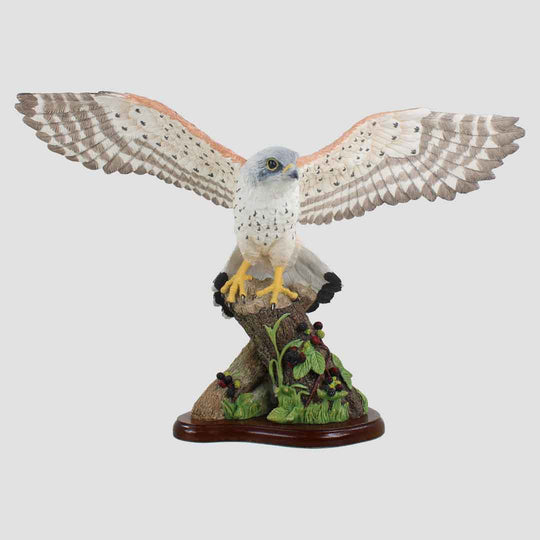 Kestrel Flying Border Fine Arts Birds