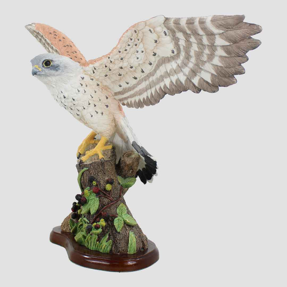 Kestrel Flying Border Fine Arts Birds