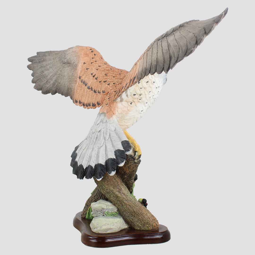 Kestrel Flying Border Fine Arts Birds