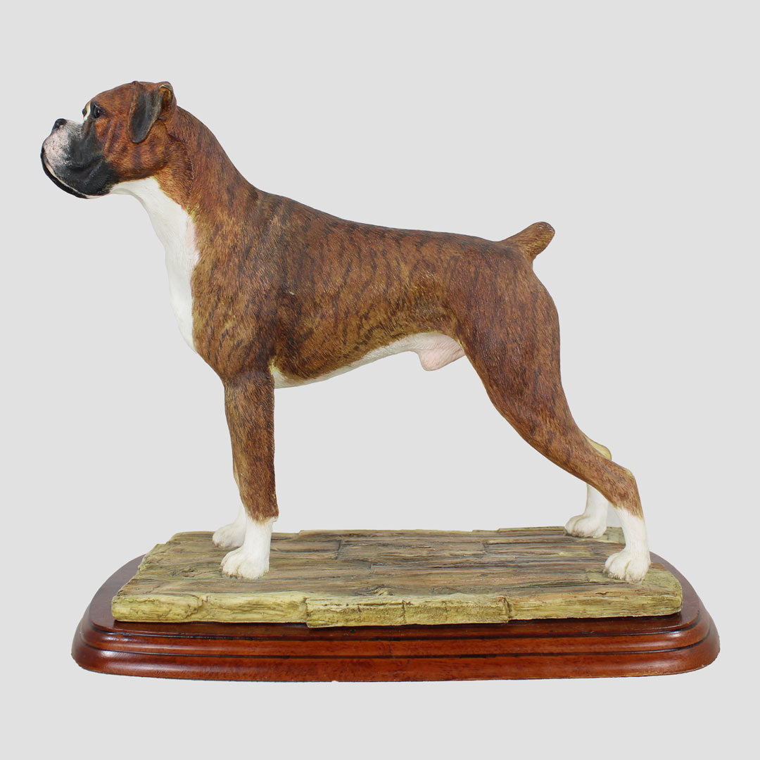 Boxer Brindle Border Fine Arts Dog