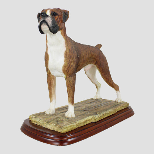 Boxer Brindle Border Fine Arts Dog