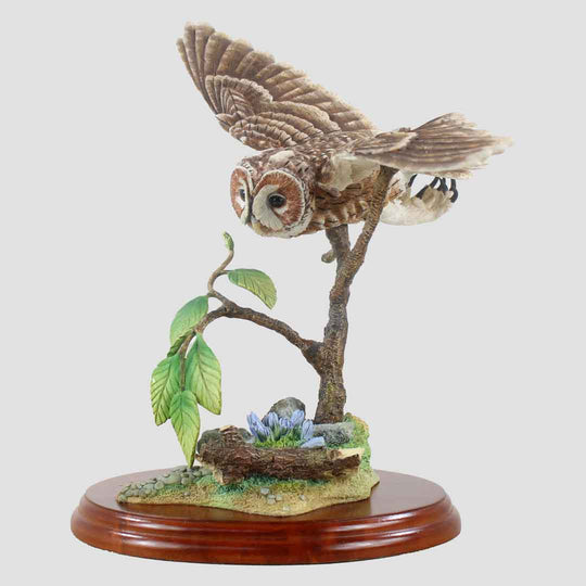 Tawny Owl Flying Border Fine Arts