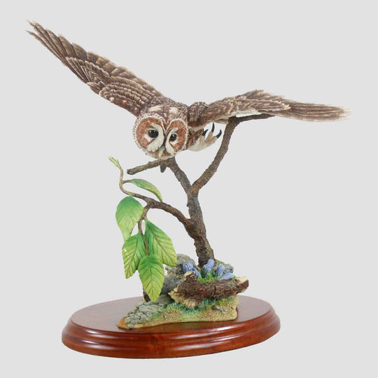 Tawny Owl Flying Border Fine Arts