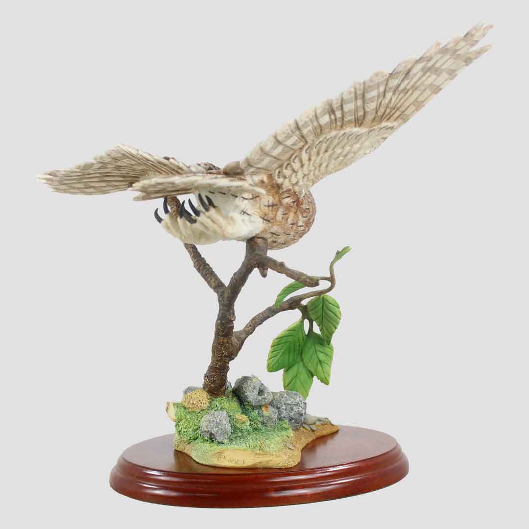 Tawny Owl Flying Border Fine Arts