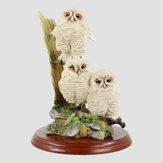 Triple Tawny Owlets Border Fine Arts Birds