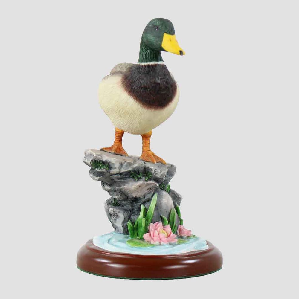 Mallard With Lotus Border Fine Arts Duck