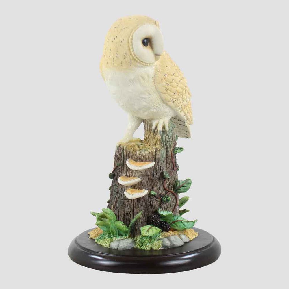 Sitting Barn Owl Border Fine Arts