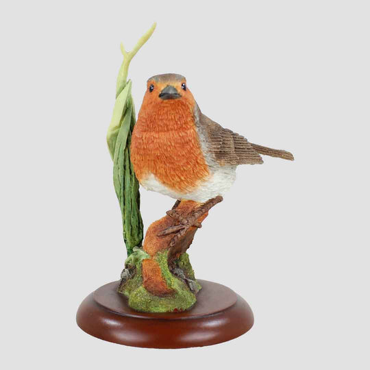 Robin On Claypot Border Fine Arts Bird