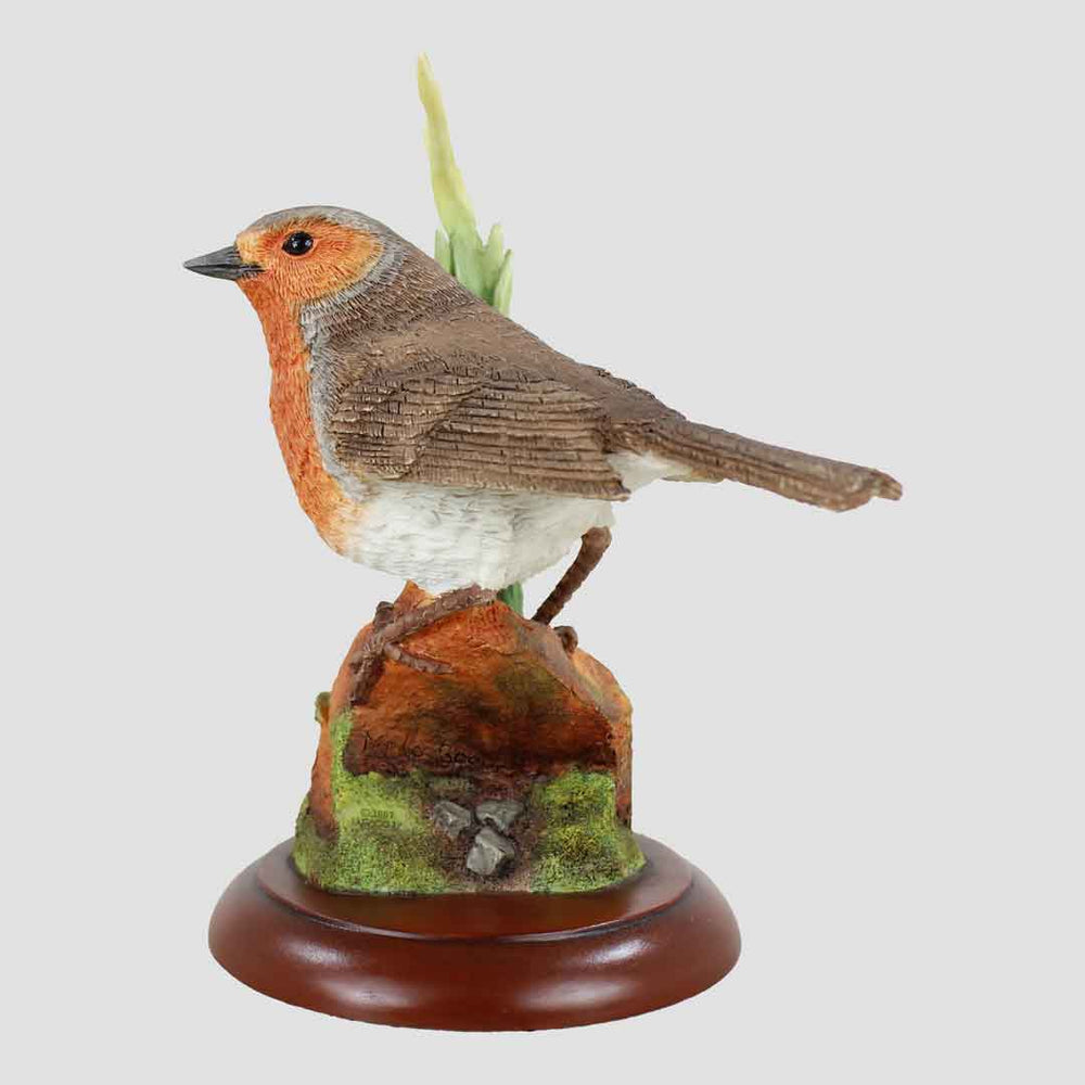 Robin On Claypot Border Fine Arts Bird