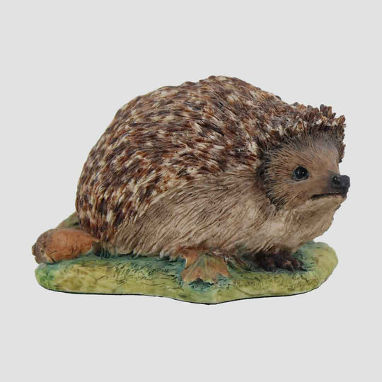 Hedgehog Style One Border Fine Arts