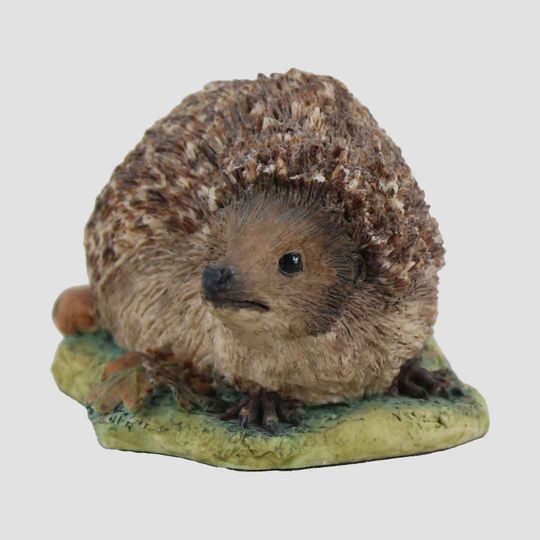 Hedgehog Style One Border Fine Arts