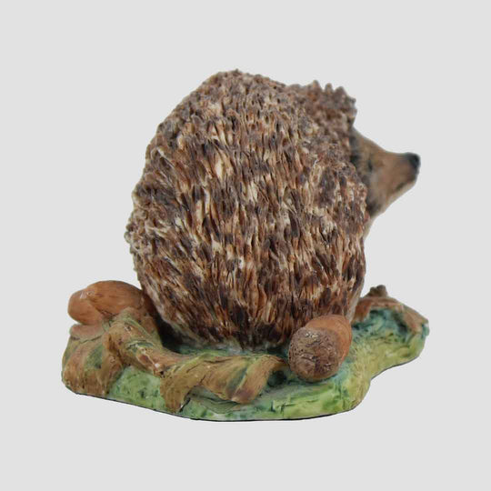 Hedgehog Style One Border Fine Arts