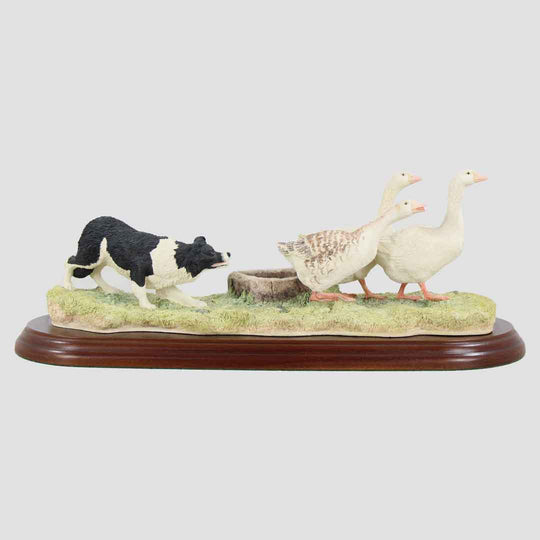 Wild Goose Chase Border Fine Arts Collie and Geese
