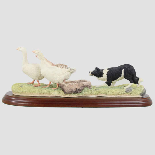 Wild Goose Chase Border Fine Arts Collie and Geese