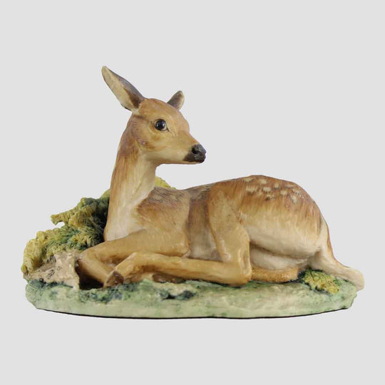 Fawn Style One Border Fine Arts