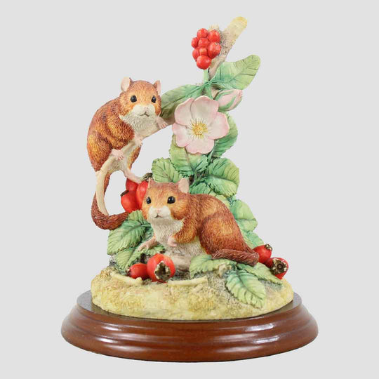 Autumn Hedgerow Border Fine Arts Dormice