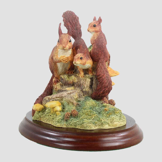 Red Squirrel Family Border Fine Arts