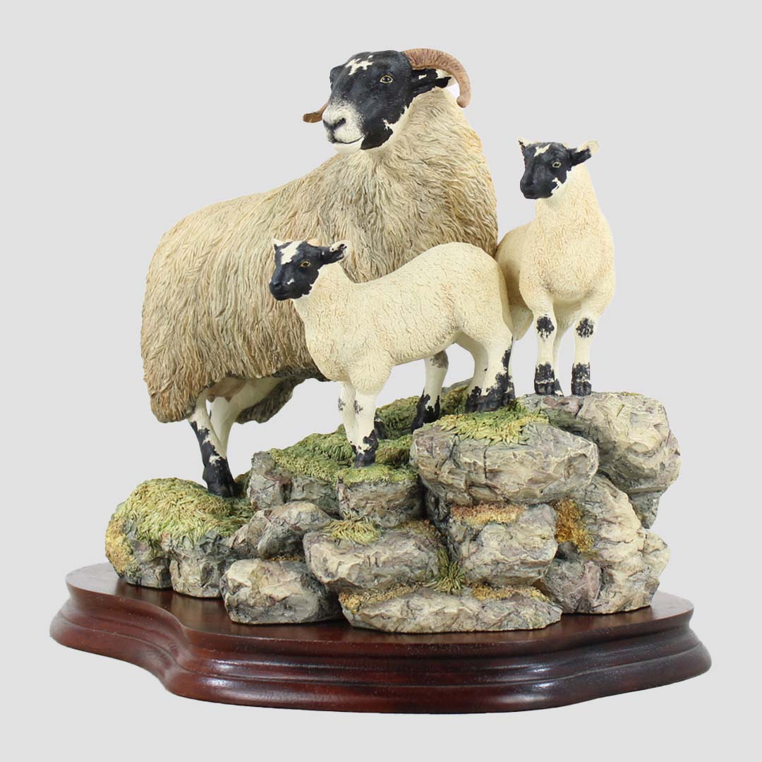 A Ewe and A Pair Border Fine Arts Black Faced