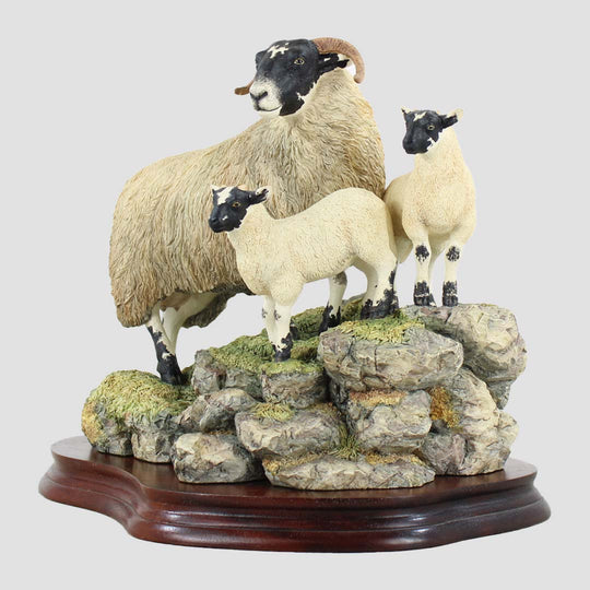A Ewe and A Pair Border Fine Arts Black Faced