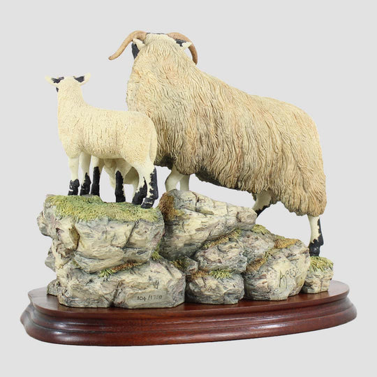 A Ewe and A Pair Border Fine Arts Black Faced