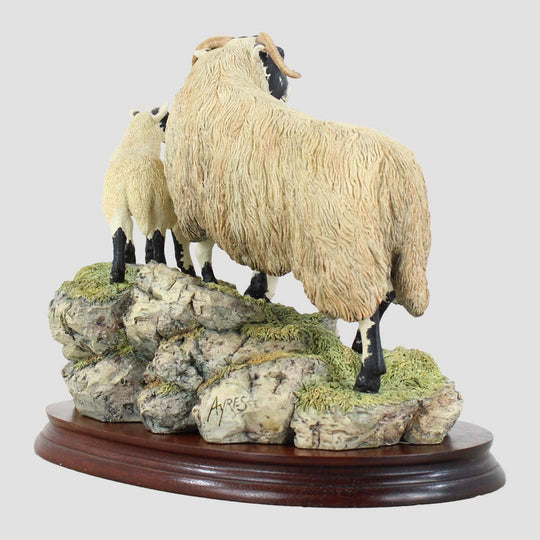 A Ewe and A Pair Border Fine Arts Black Faced