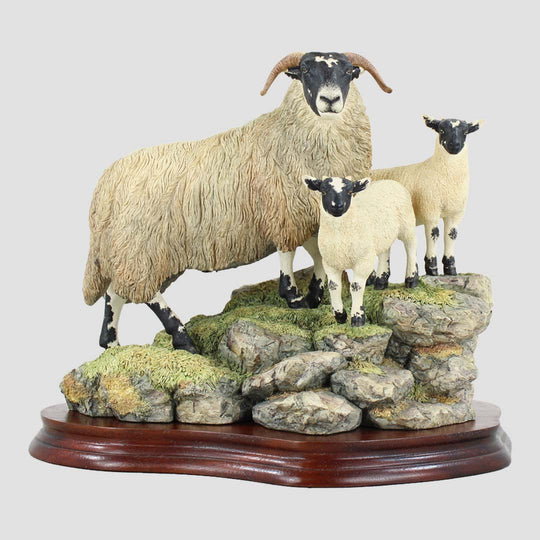 A Ewe and A Pair Border Fine Arts Black Faced
