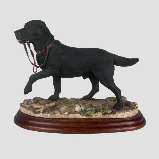Labrador Black with lead in mouth Border Fine Arts Dog Model