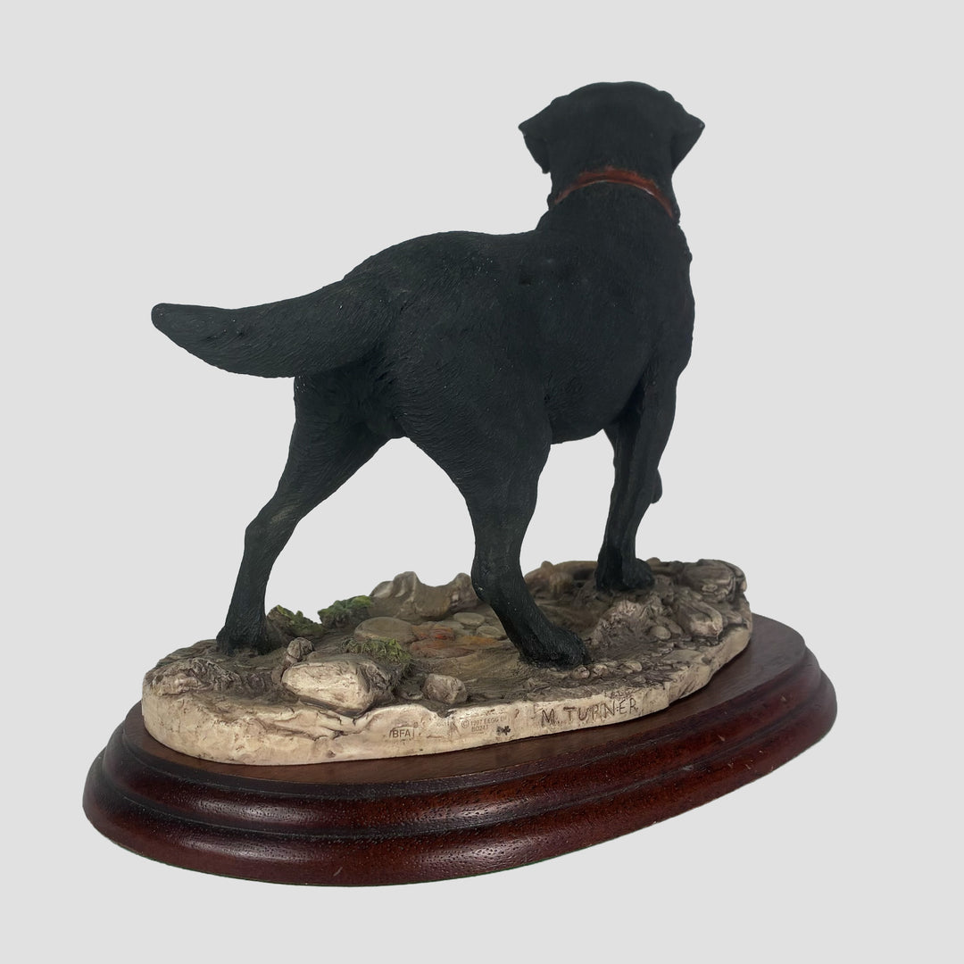 Labrador Black with lead in mouth Border Fine Arts Dog Model