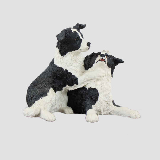 Pair Of Border Collie Pups Border Fine Arts Dogs