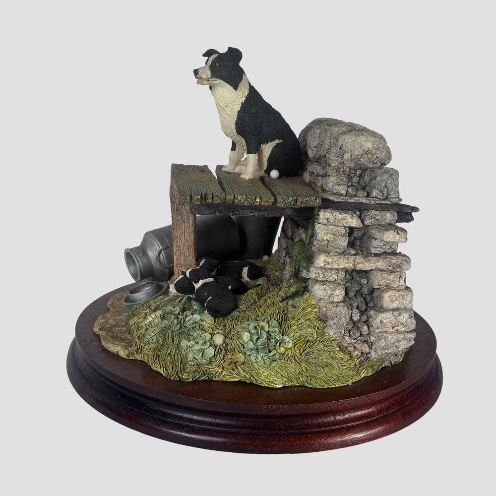 In from the shade Border Collie Model by Border Fine Arts