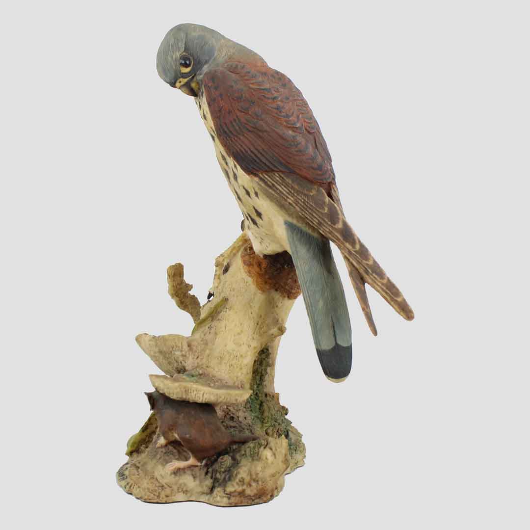 Kestrel And Mouse Border Fine Arts Birds