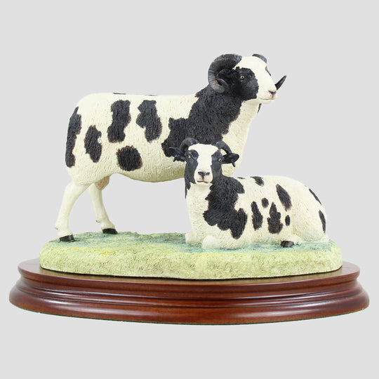 Pair Of Jacob Sheep 2 Horned Border Fine Arts