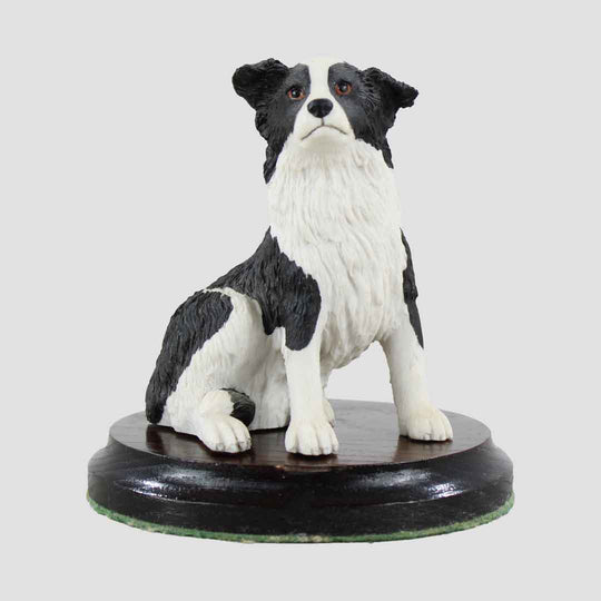 New Collie Pup Border Fine Arts Dog