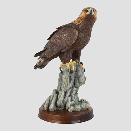 Master Of The Skies (Golden Eagle) Border Fine Arts