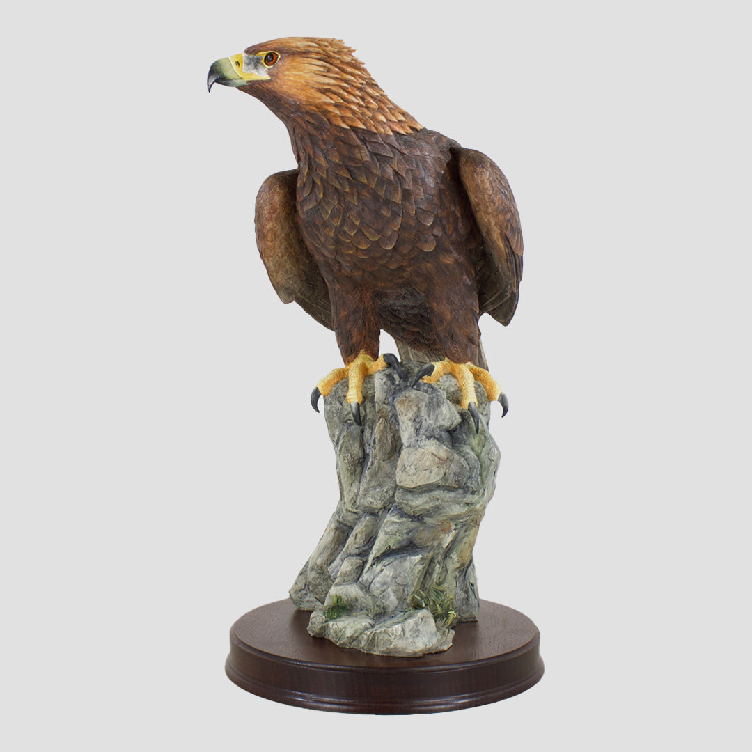 Master Of The Skies (Golden Eagle) Border Fine Arts