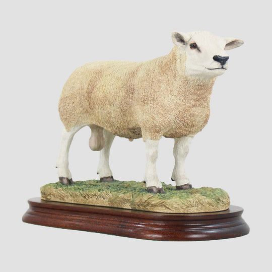 Texel Ram Style Two Border Fine Arts