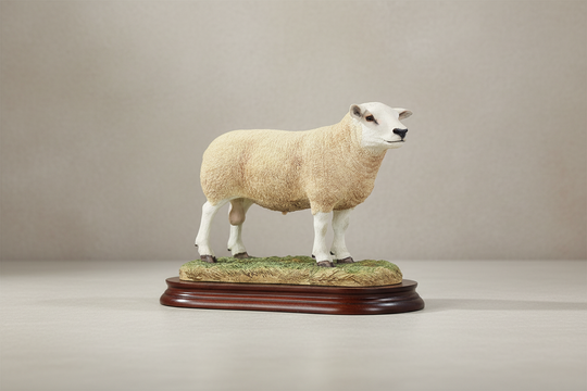 Texel Ram Style Two Border Fine Arts