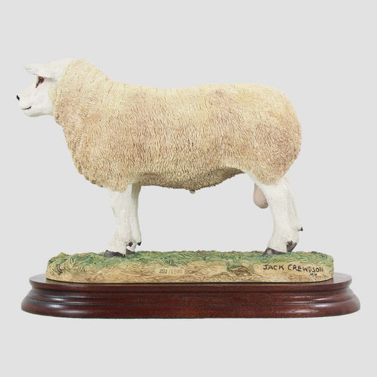 Texel Ram Style Two Border Fine Arts
