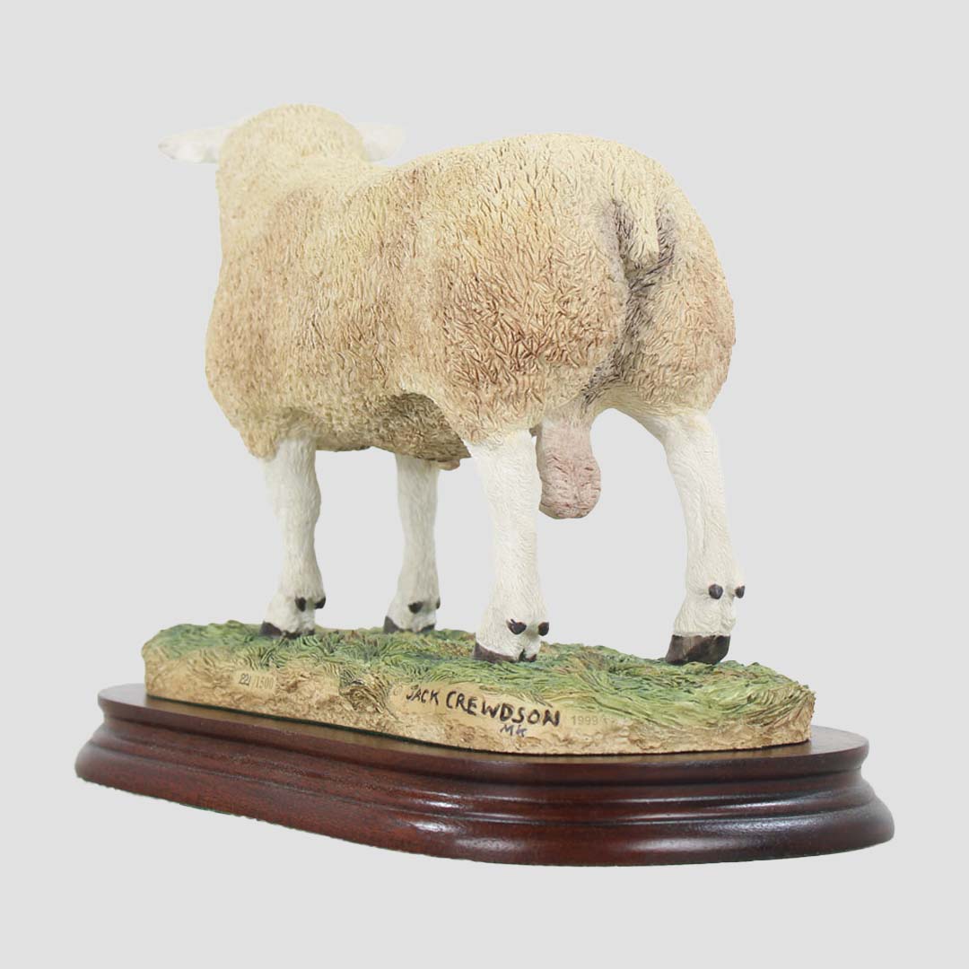 Texel Ram Style Two Border Fine Arts
