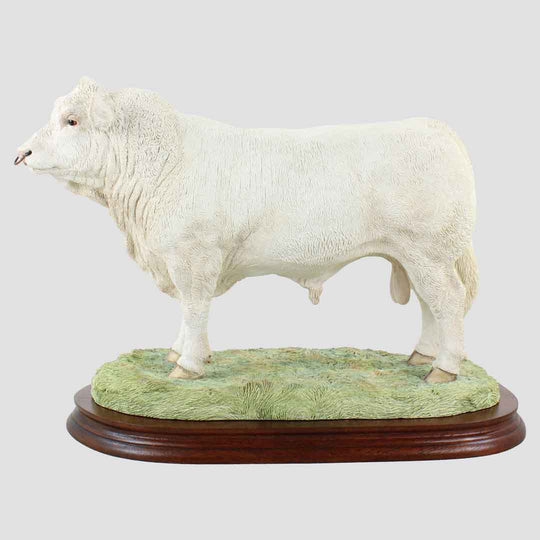 Charolais Bull (Large) Border Fine Arts