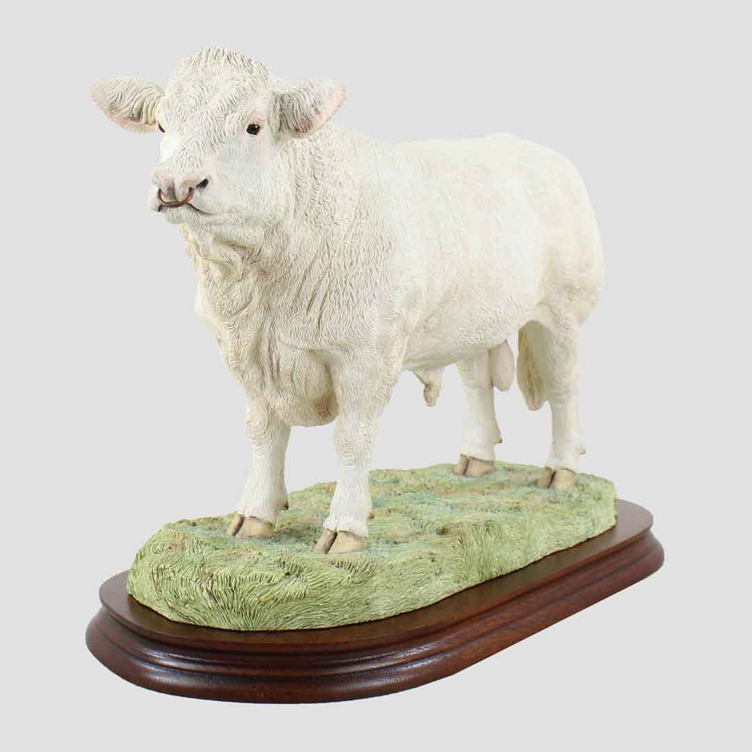 Charolais Bull (Large) Border Fine Arts