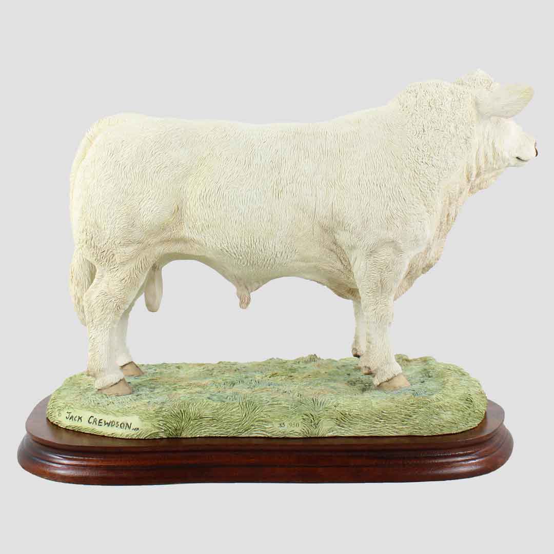 Charolais Bull (Large) Border Fine Arts