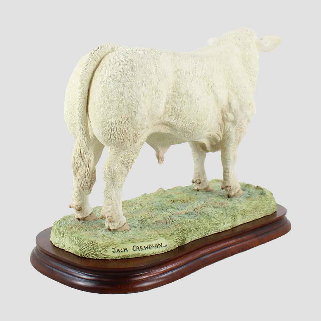 Charolais Bull (Large) Border Fine Arts