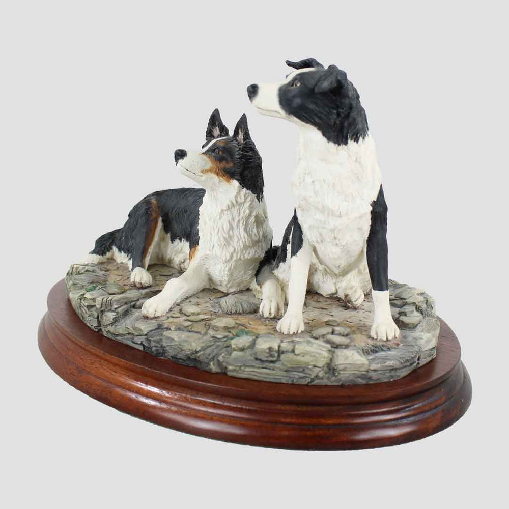 Eager To Learn Border Fine Arts Collie