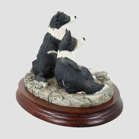 Eager To Learn Border Fine Arts Collie