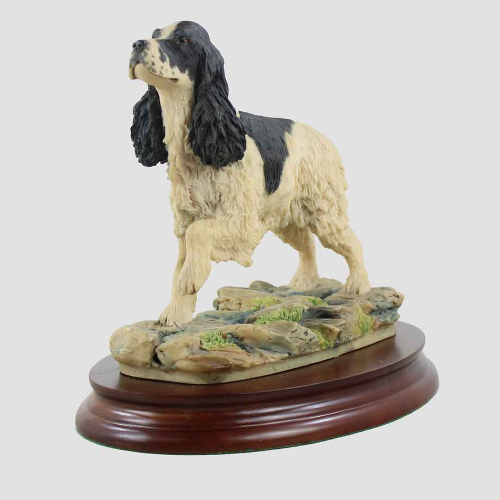 Cocker Spaniel Border Fine Arts Dog