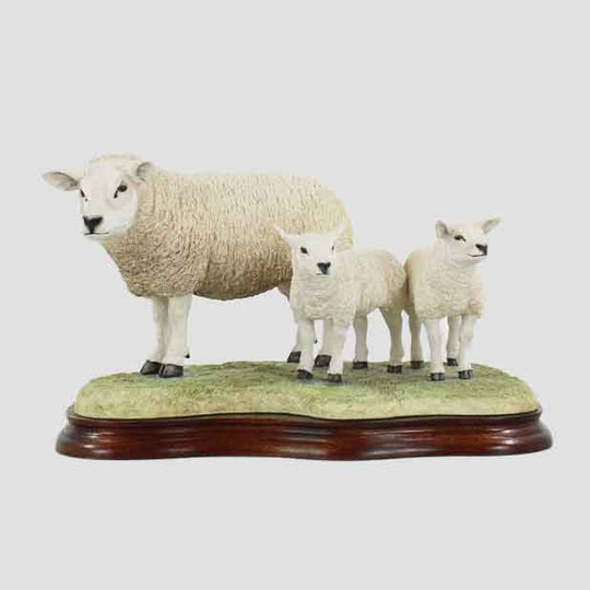 Texel Ewe and Lambs Border Fine Arts