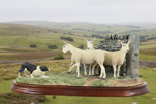 Stand Off Border Fine Arts Sheep